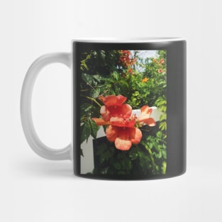 Beachside Orange Hibiscus Flower Mug